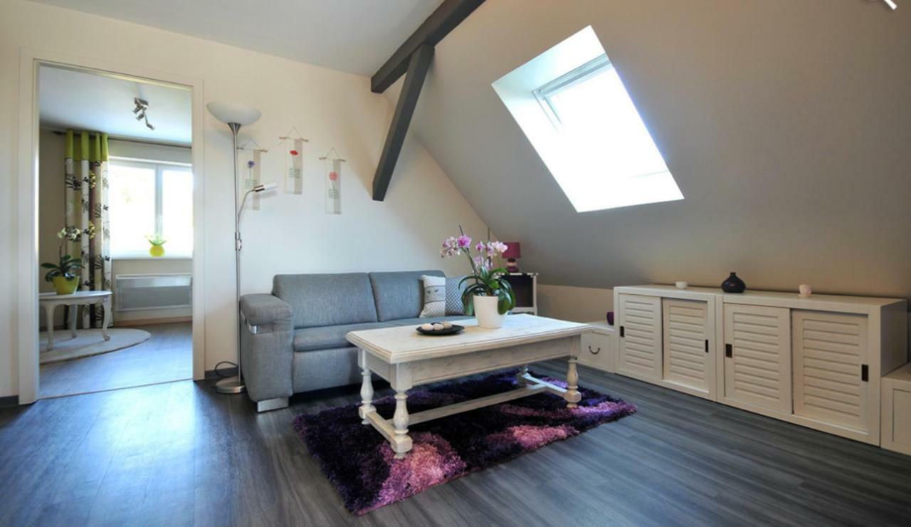 Fleur De Vigne Apartment Eguisheim Ngoại thất bức ảnh